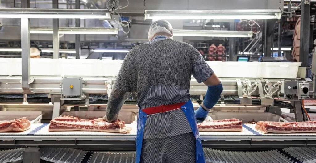 Arbejde, dagpenge og a-kasse