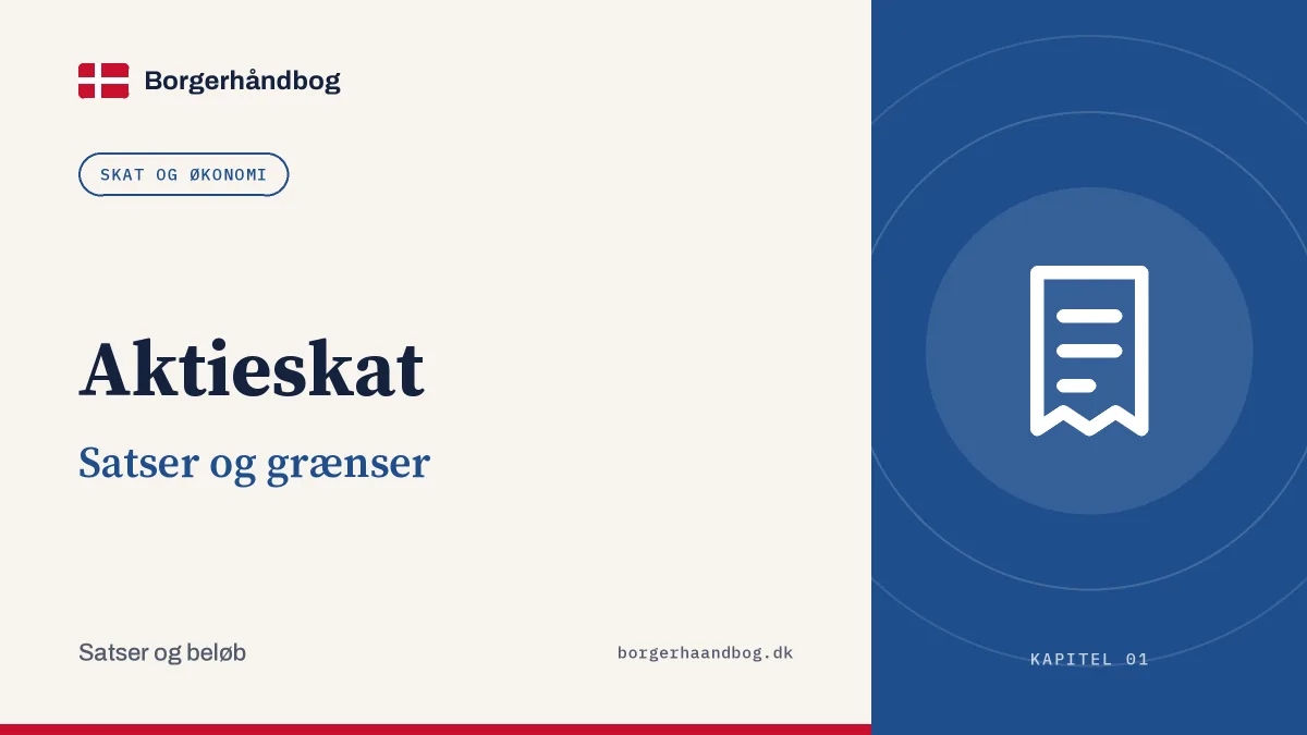 Aktieskat: Satser og grænser