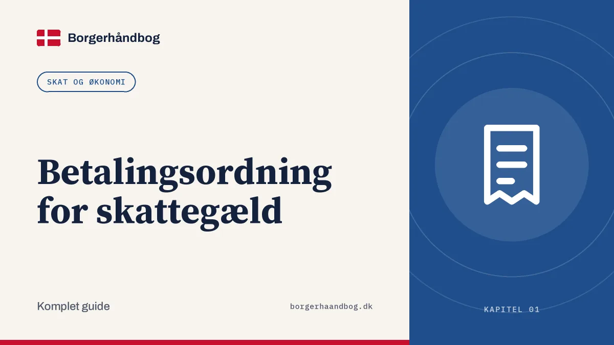 Betalingsordning for skattegæld