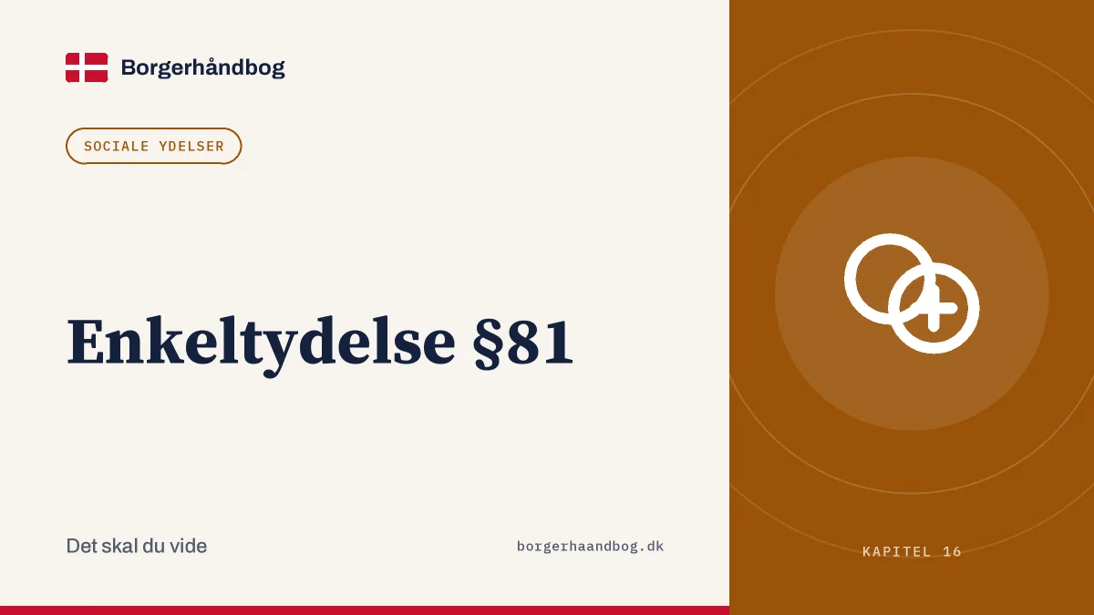 Enkeltydelse §81