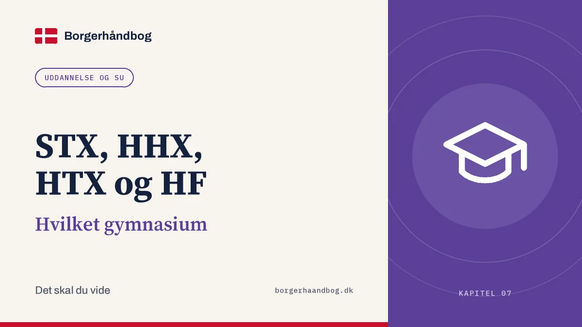STX, HHX, HTX og HF: Hvilket gymnasium