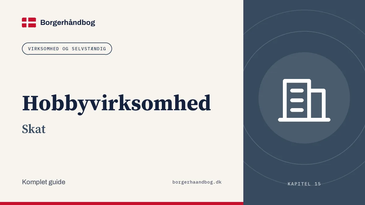 Hobbyvirksomhed: Skat