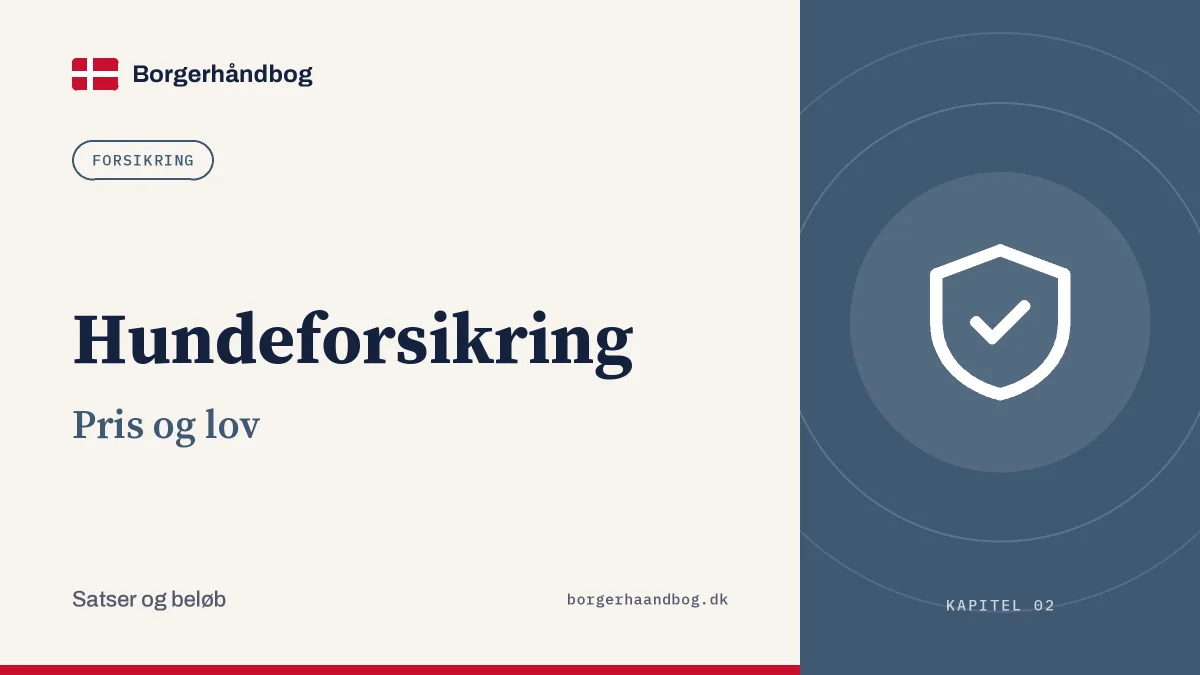 Hundeforsikring: Pris og lov