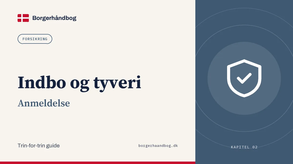 Indbo og tyveri: Anmeldelse