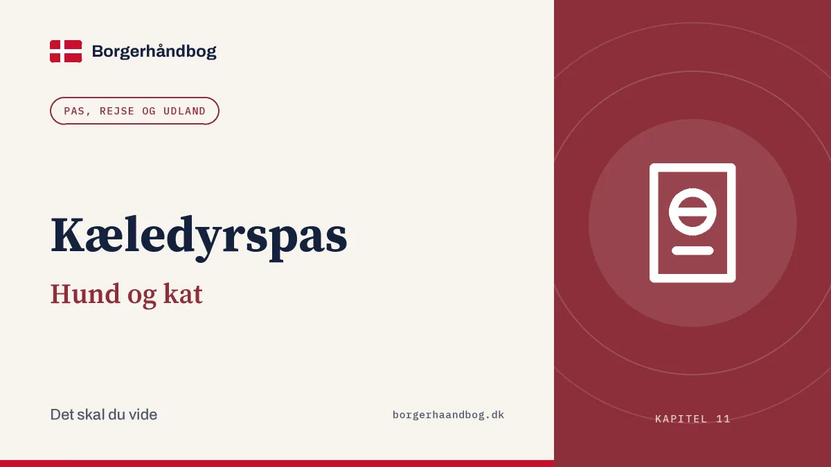 Kæledyrspas: Hund og kat