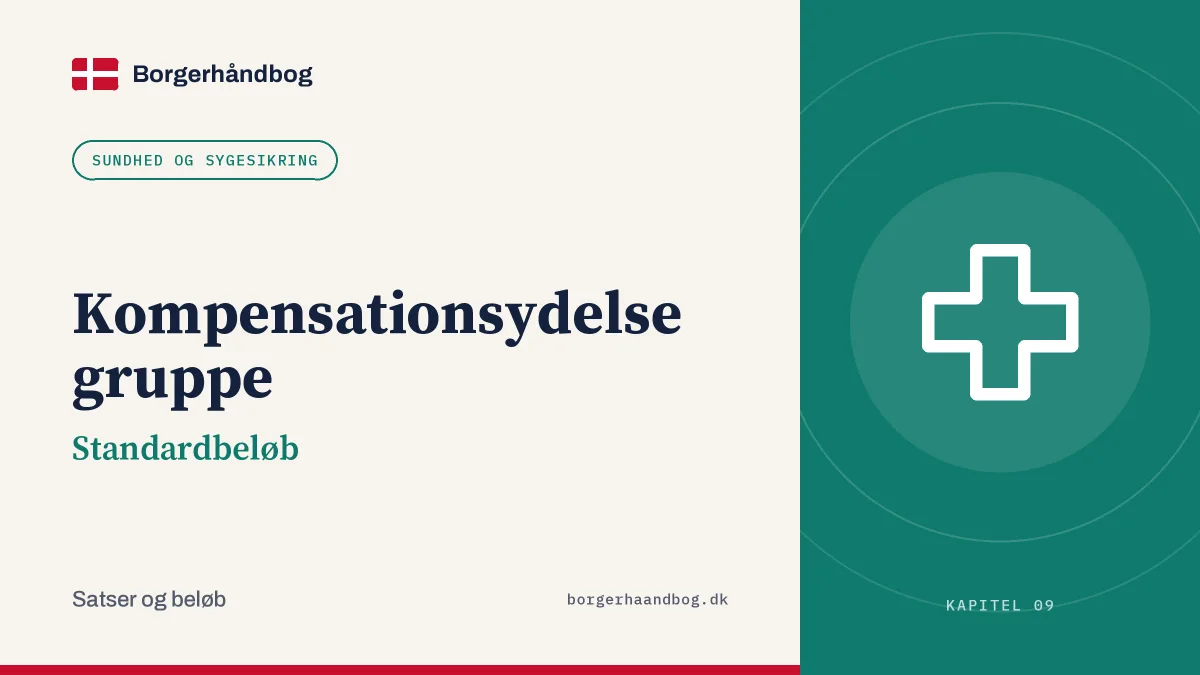 Kompensationsydelse gruppe: Standardbeløb