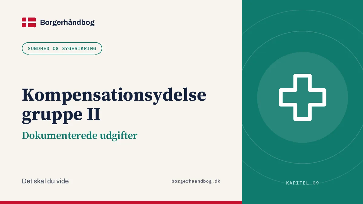 Kompensationsydelse gruppe II: Dokumenterede udgifter