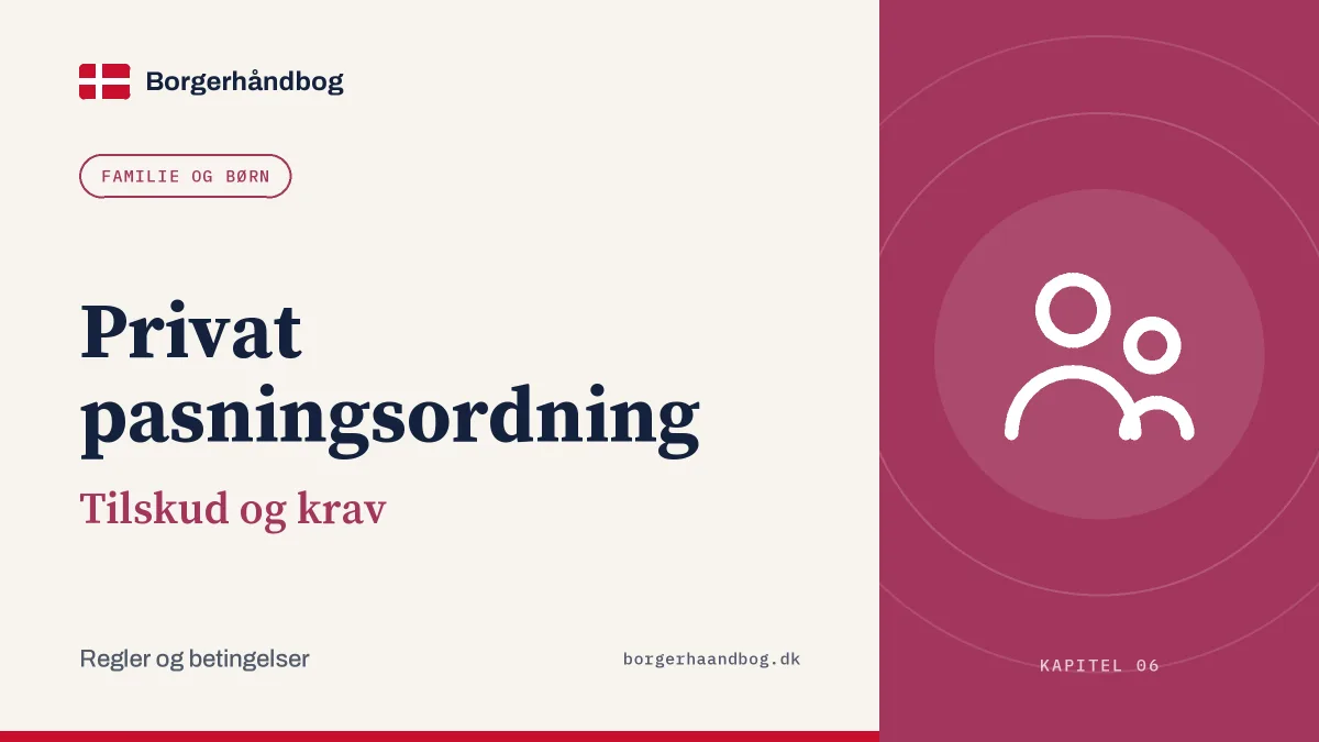 Privat pasningsordning: Tilskud og krav
