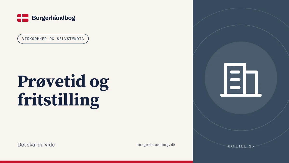 Prøvetid og fritstilling