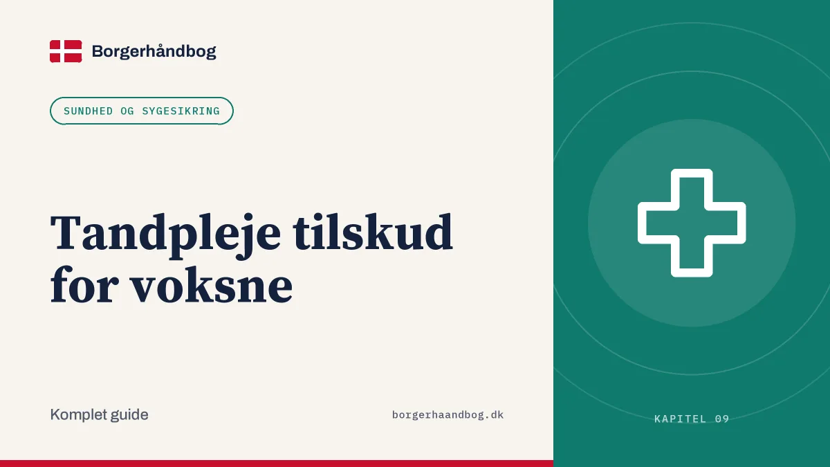 Tandpleje tilskud for voksne